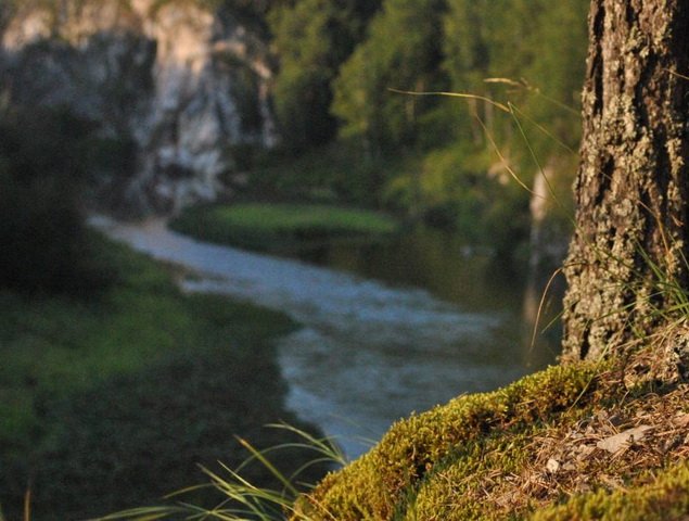 Осенний отдых на «Оленьих ручьях»: зачем ехать именно сейчас 🍂 Осенний отдых на «Оленьих ручьях»: зачем ехать именно сейчас 🍂