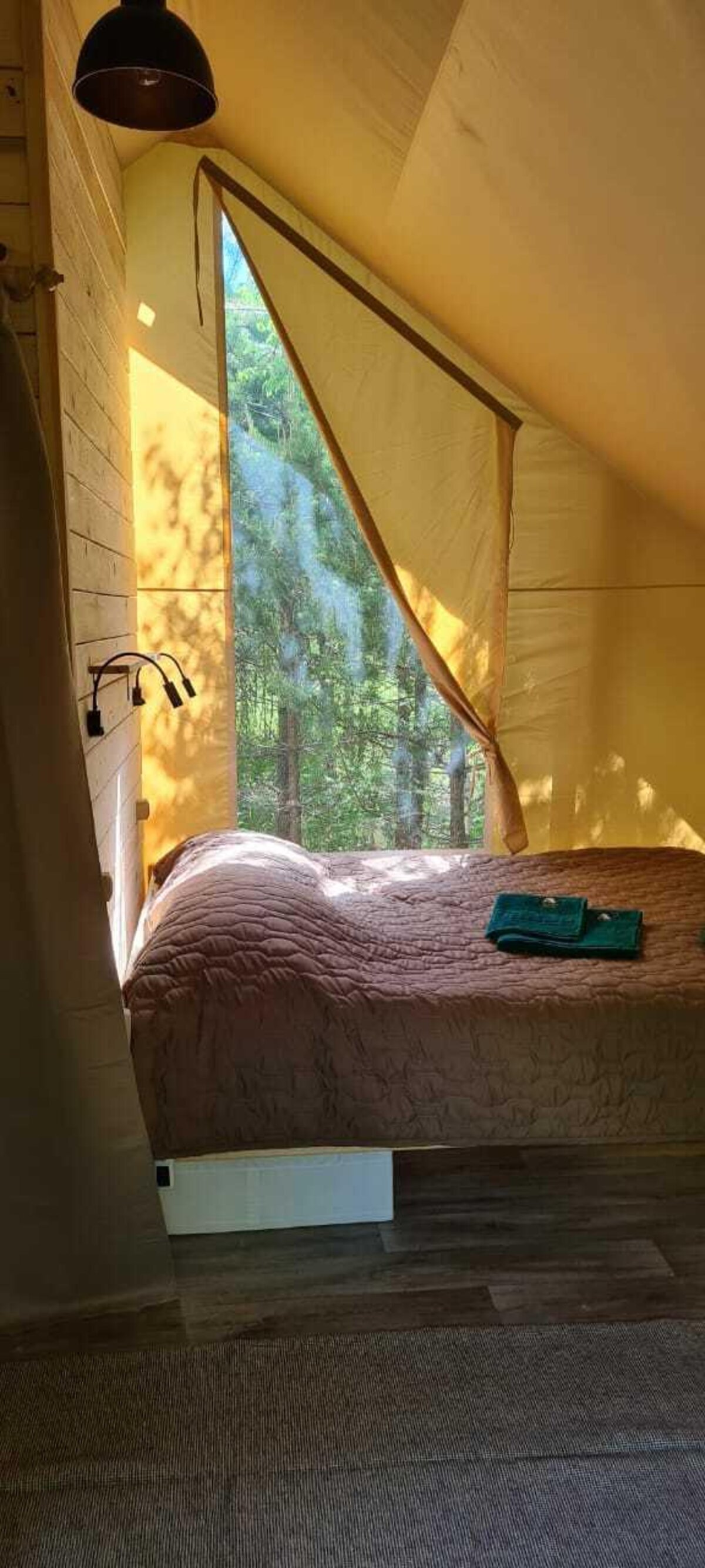 Bear camp Bear camp