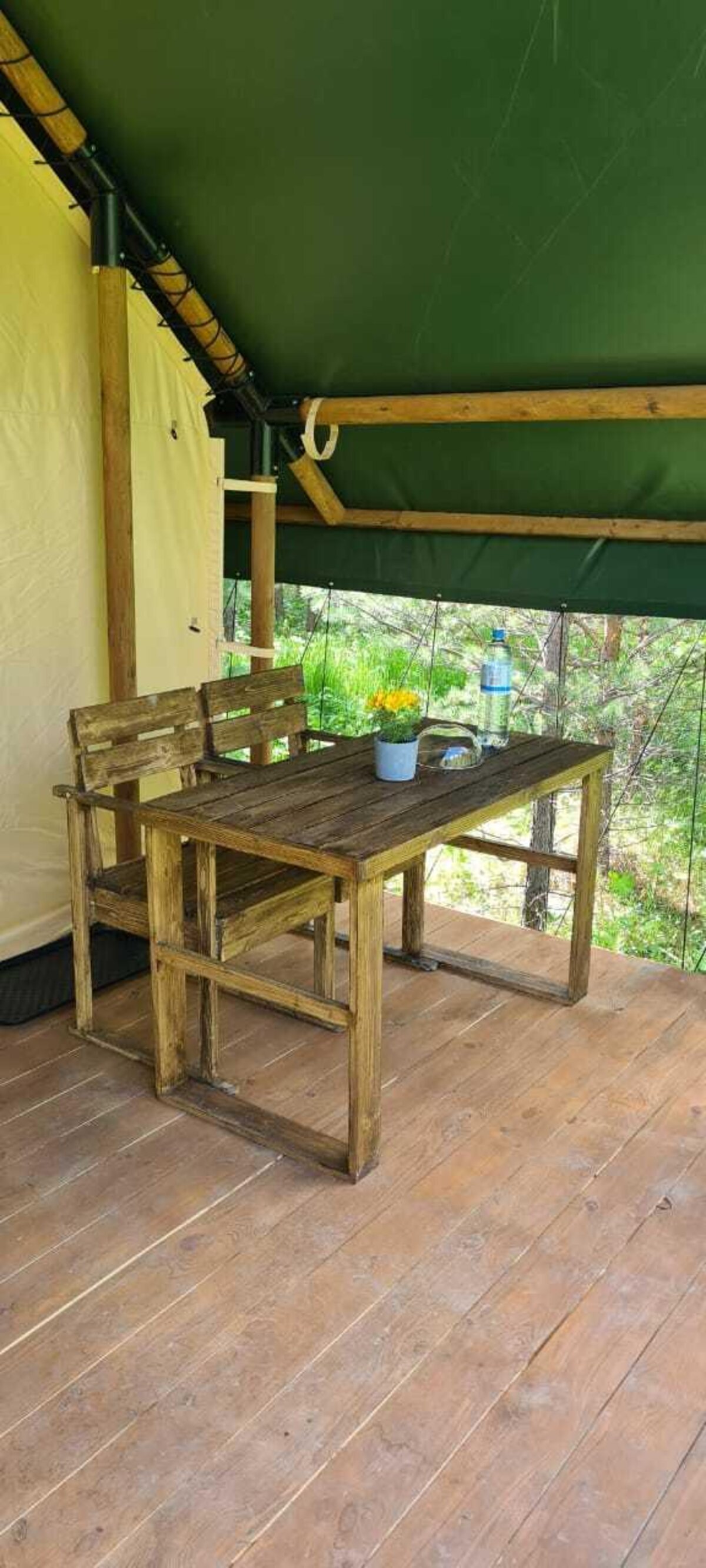Wolf Camp Wolf Camp