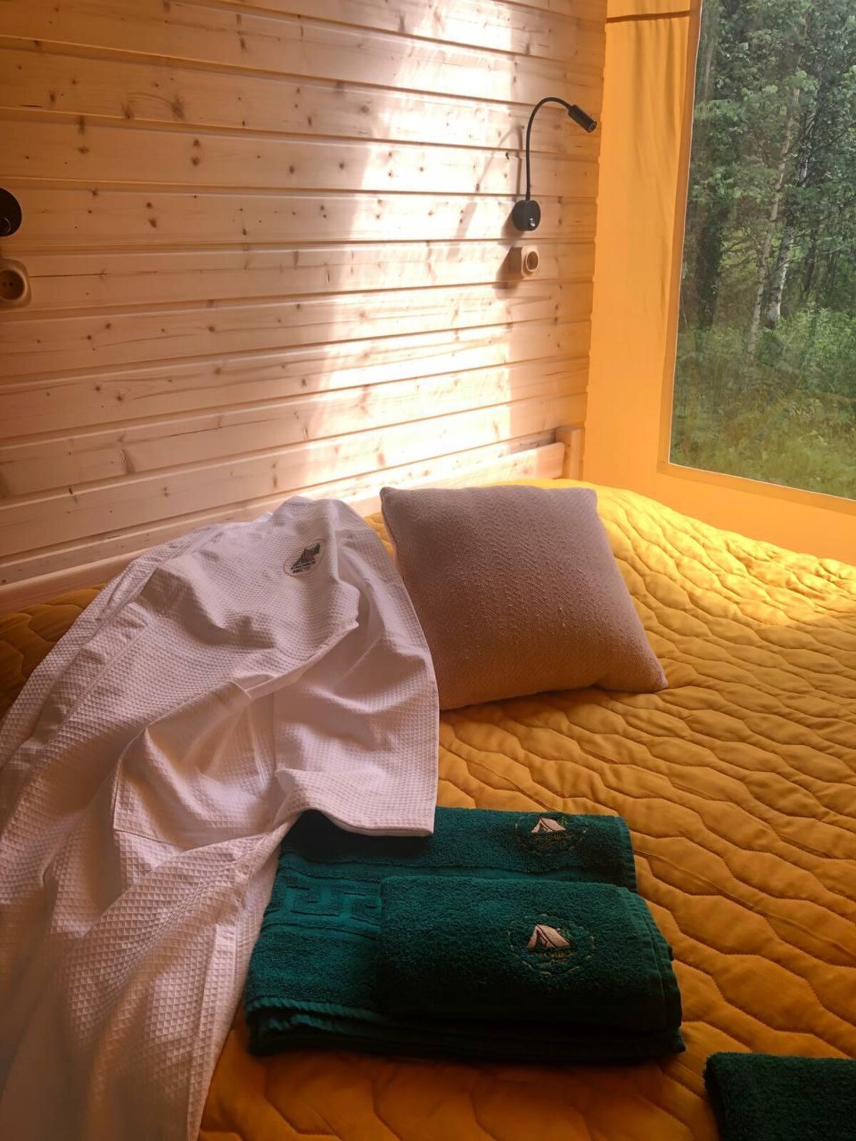 Wolf Camp Wolf Camp