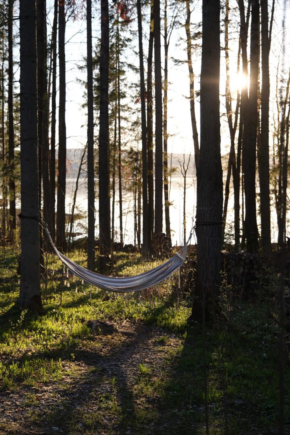 LAGOM (Лагом) LAGOM (Лагом)
